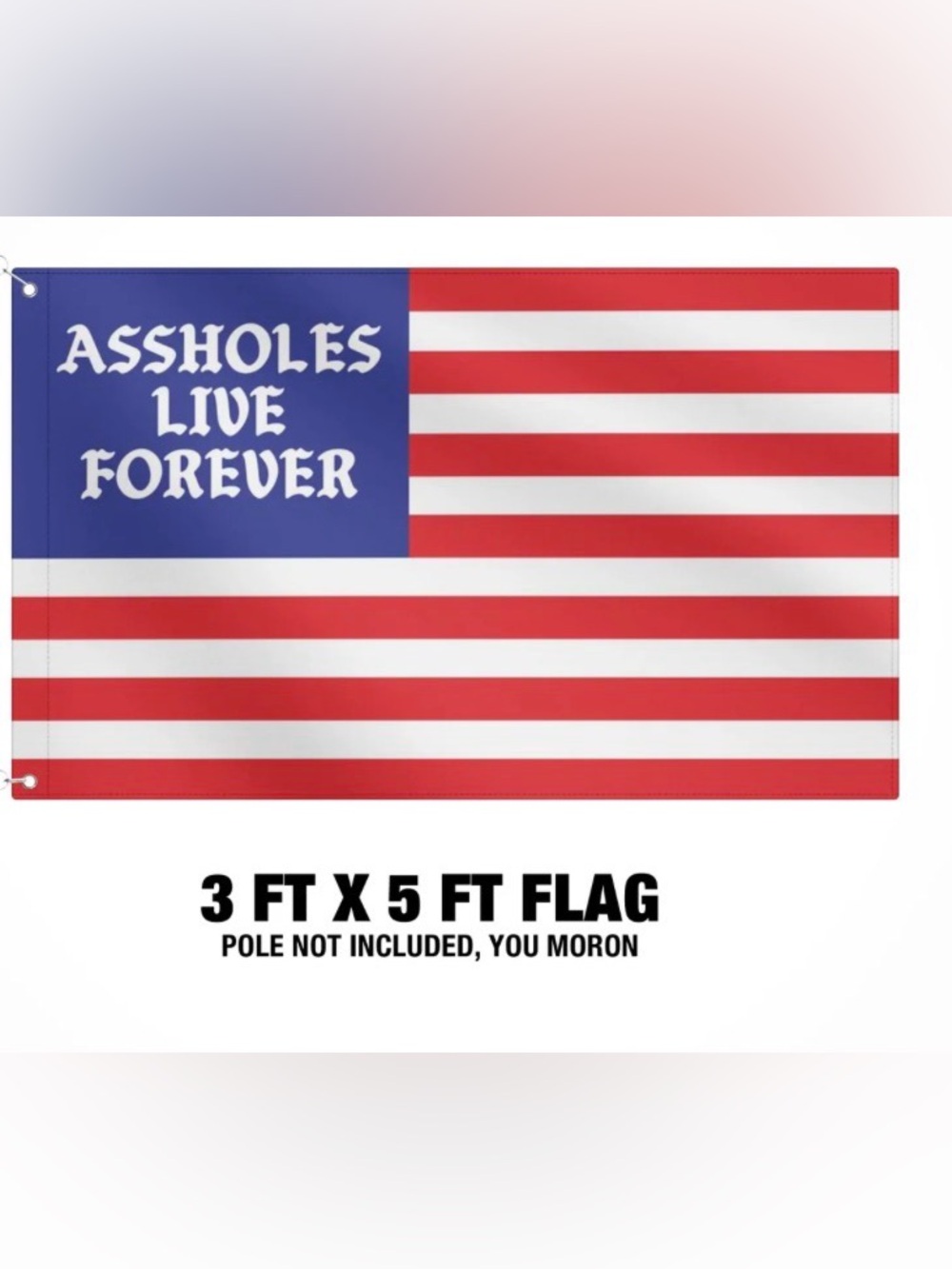 Assholes Live Forever American Flag